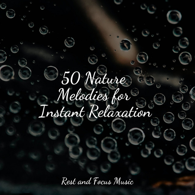 50 Nature Melodies for Instant Relaxation - Album by Meditation Music ...