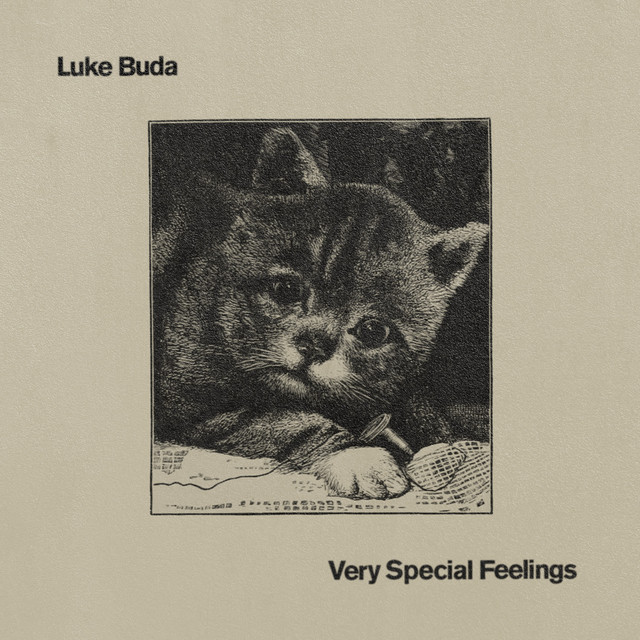 Very Special Feelings cover