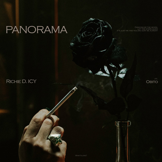 Panorama cover art