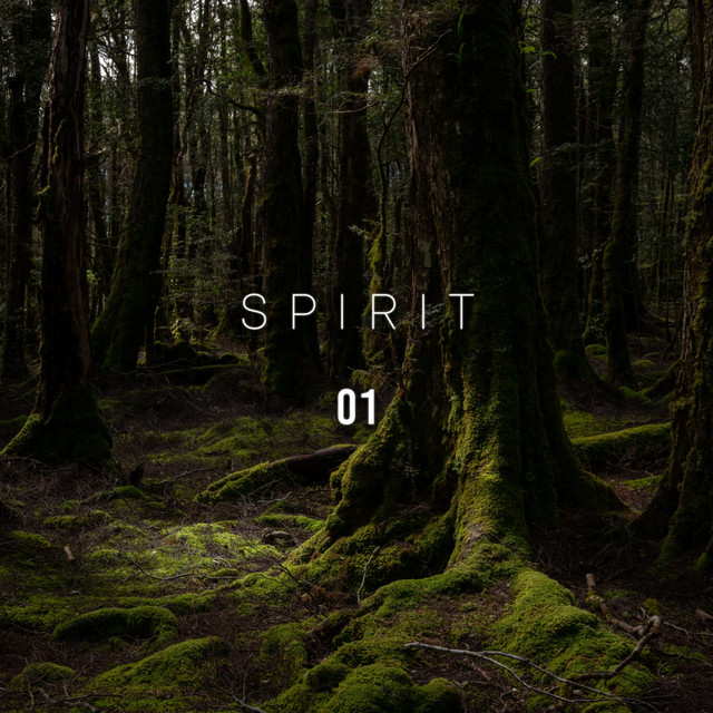 Spirit 01 cover art