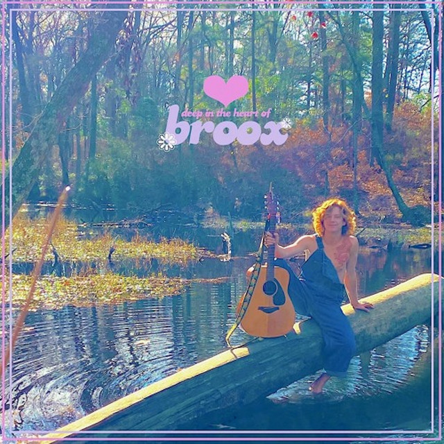 Deep in the Heart of Broox cover art