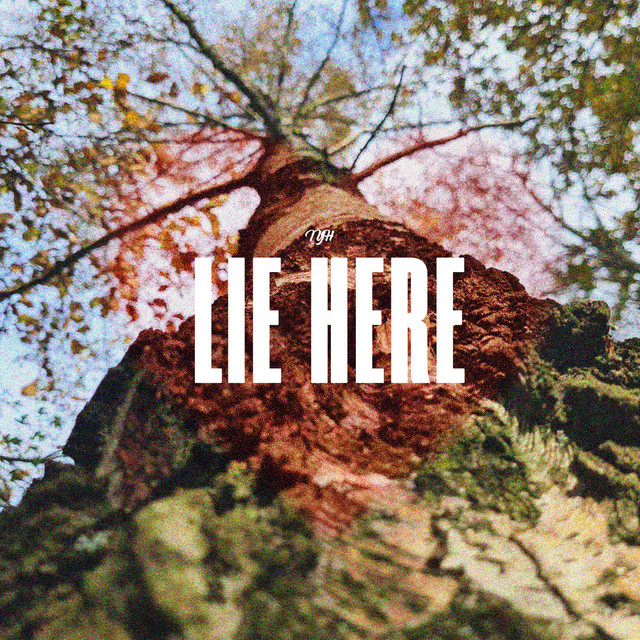 Lie Here cover art