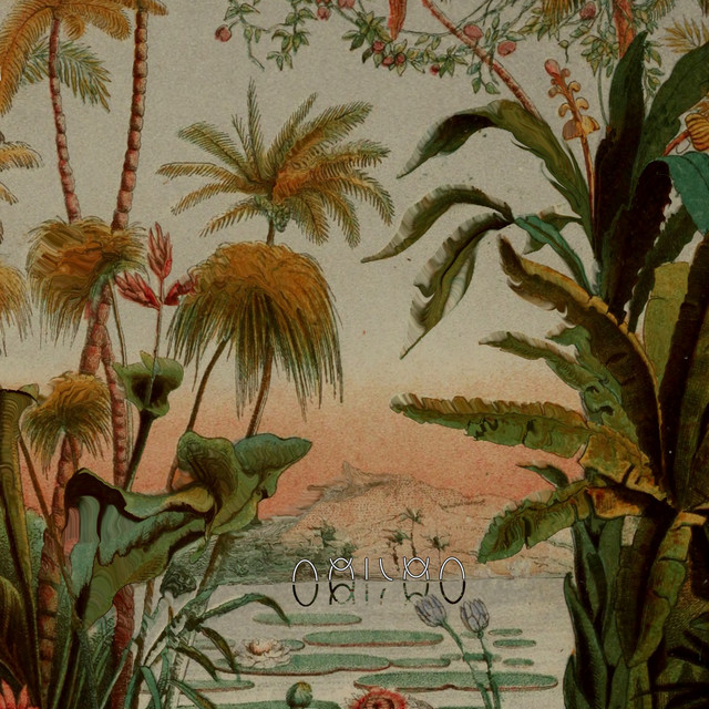 Limon cover art