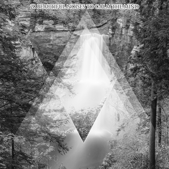 16 Peaceful Soft Sounds to Still the Mind cover art