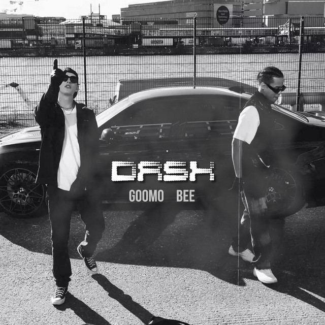 DASH cover art