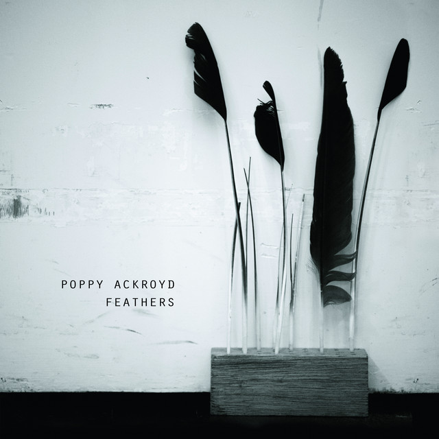 Feathers cover art