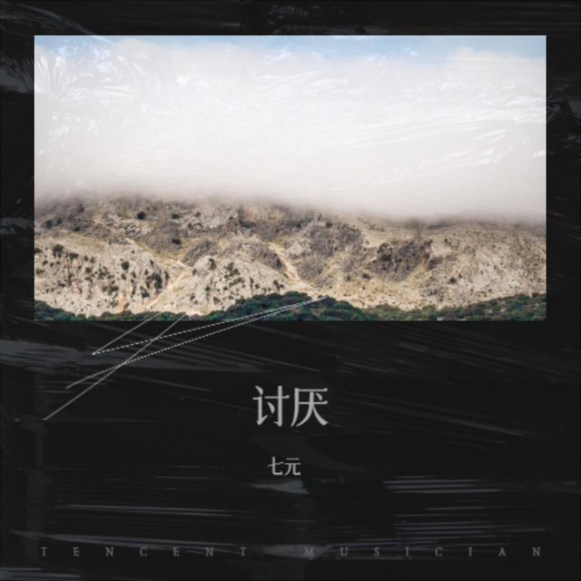 讨厌 album image