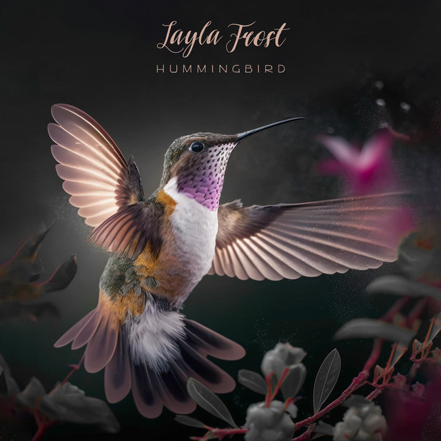 Hummingbird cover