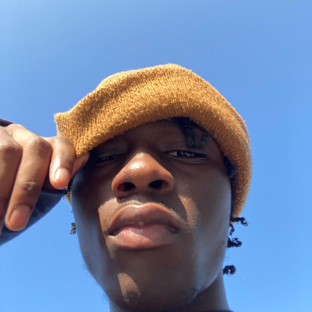 INDIGO PROJECT cover art