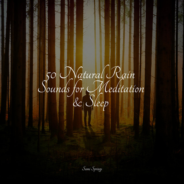 50 Natural Rain Sounds for Meditation & Sleep - Album by Musica Para ...