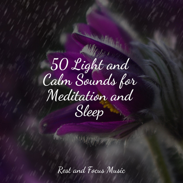 50 Light and Calm Sounds for Meditation and Sleep - Album by Namaste ...