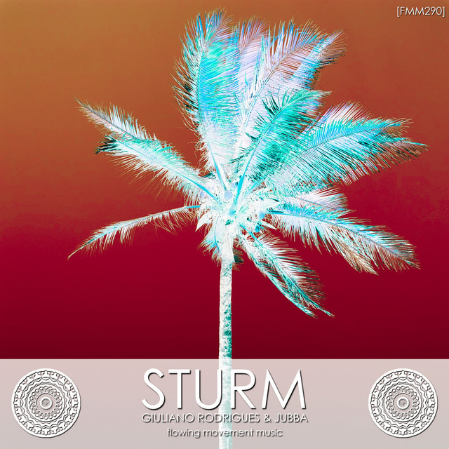 Sturm cover art