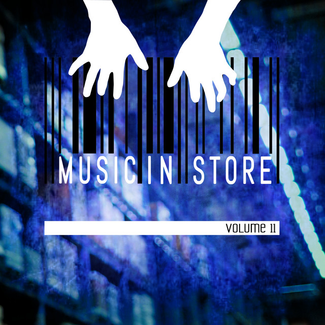 Music in store, Vol. 11 cover art