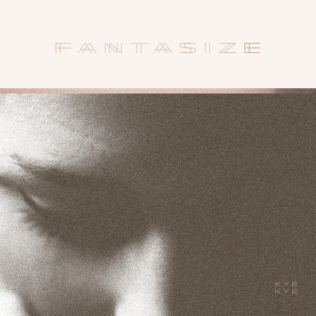 Fantasize cover art