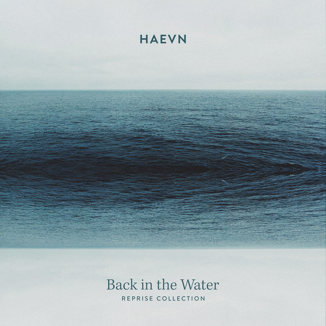 Back in the Water (Reprise Collection) album image