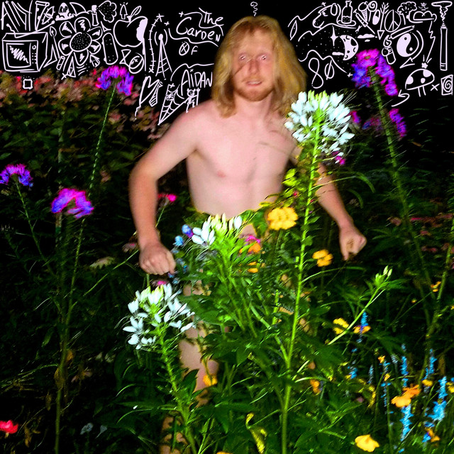 The Garden of Aidan cover art