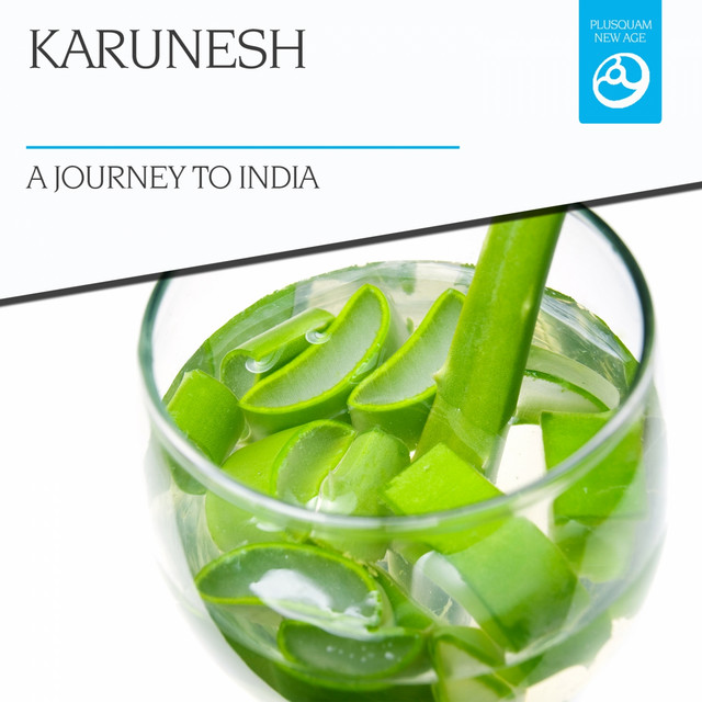 A Journey to India cover art