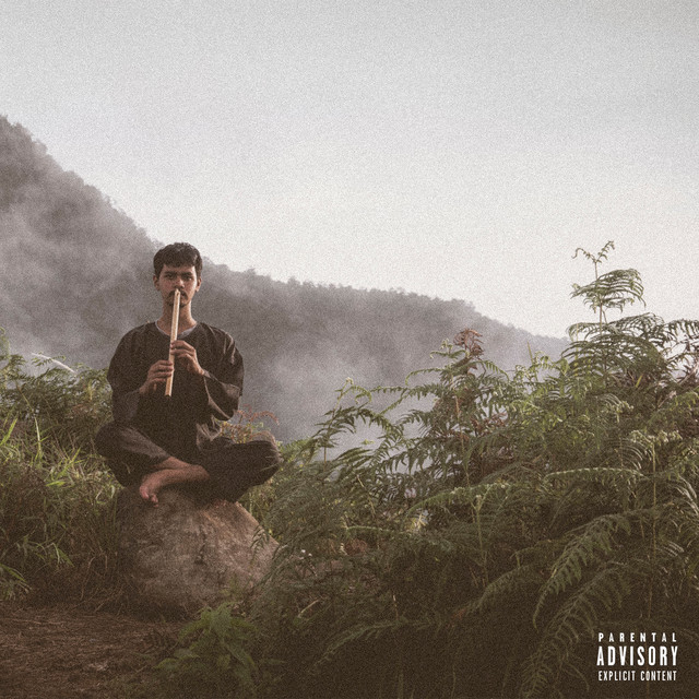THE ART OF PIRACY cover art