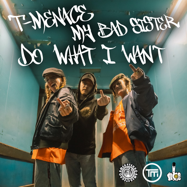 Do What I Want cover