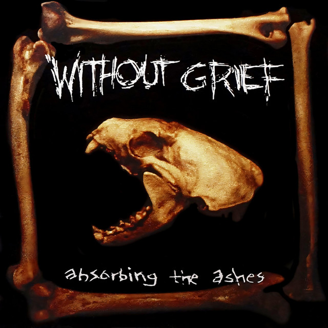 Absorbing The Ashes cover