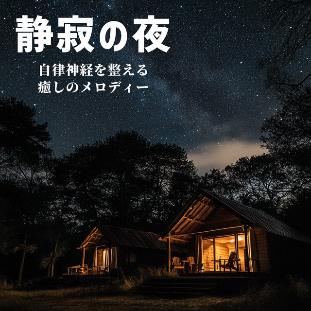 Silent Night - soothing melodies for the autonomic nervous system cover art