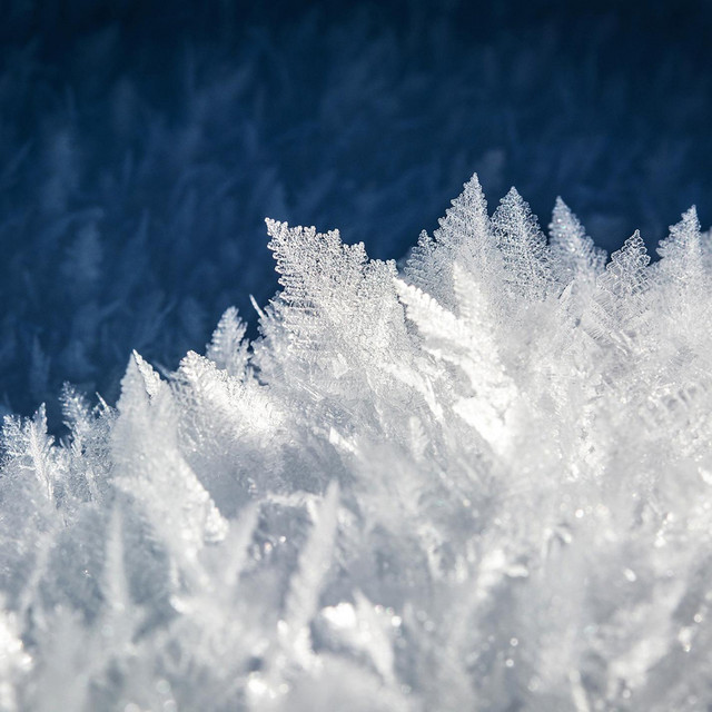 How I Imagine Snow cover art