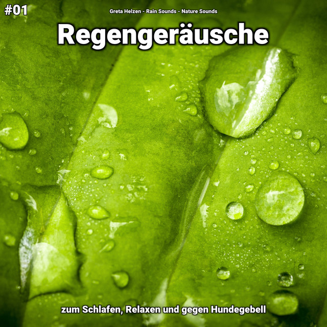 #01 Regengeräusche zum Schlafen, Relaxen und gegen Hundegebell cover art