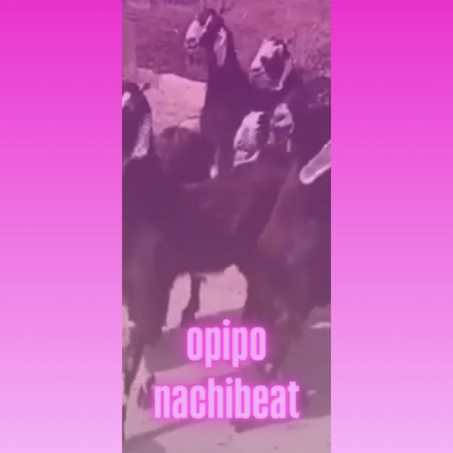 nachibeat album image
