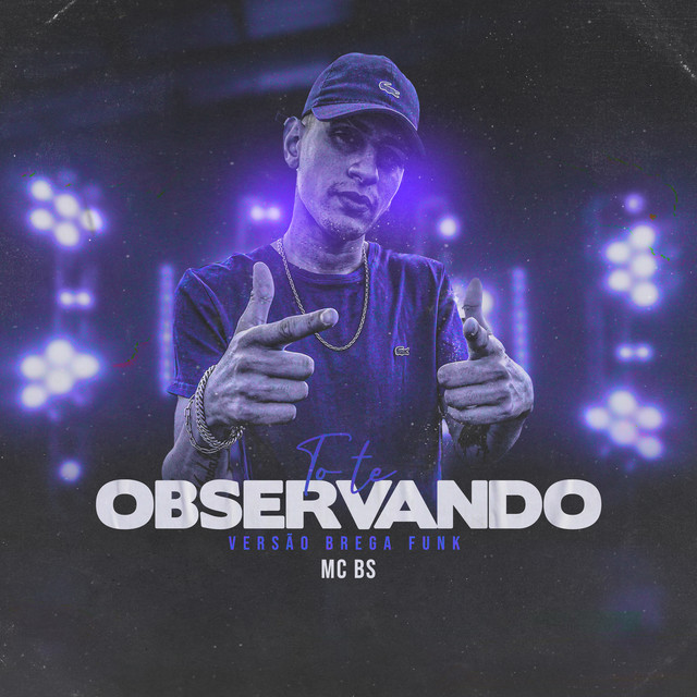Tô Te Observando - Versão Brega Funk