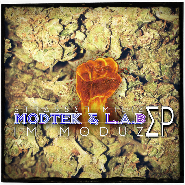 Im Moduz cover