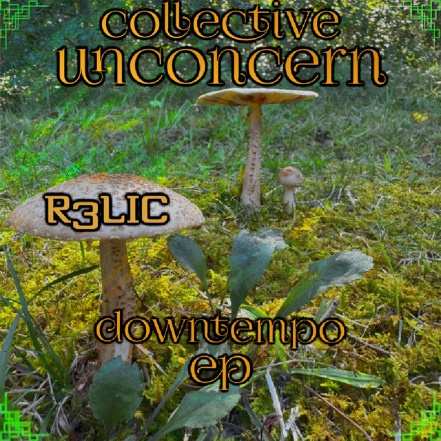 R3LIC