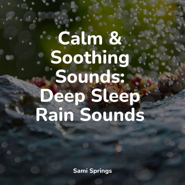 50 Comforting Spa Rain Sounds - Album by Zen Music Garden | Spotify
