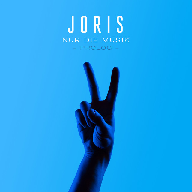 Nur die Musik cover art