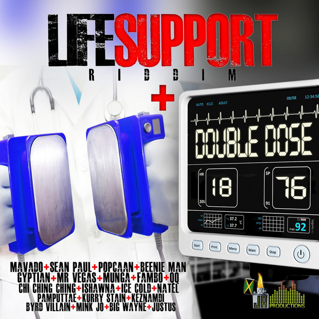 Life Support Riddim Double Dose cover art