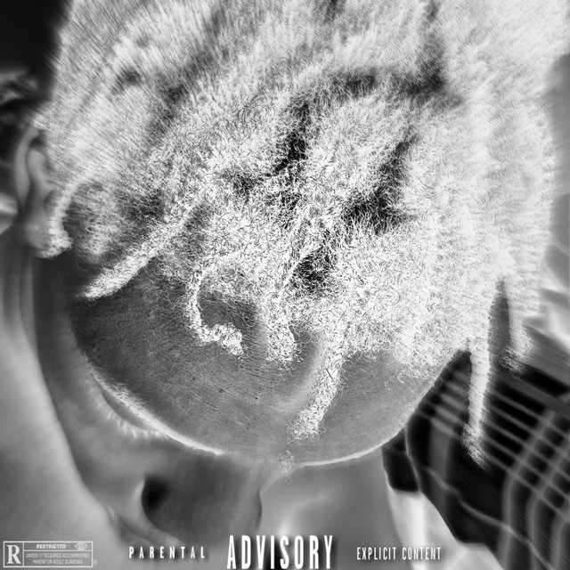 SPLINTER FREESTYLE cover art