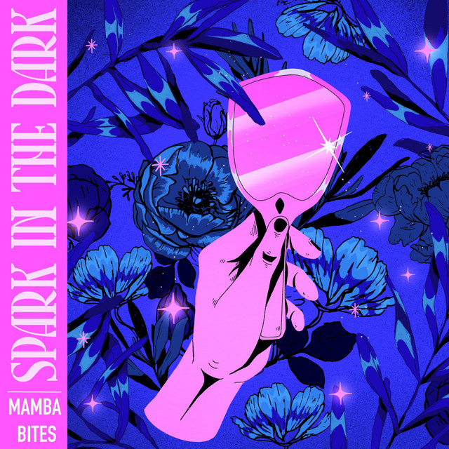 Spark in the Dark cover