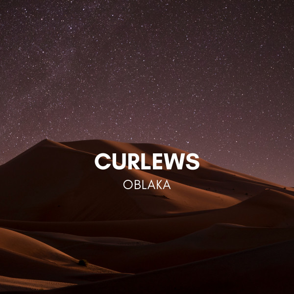 Curlews cover