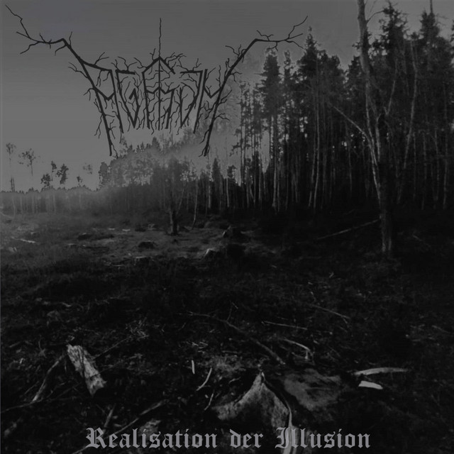 Realisation der illusion cover