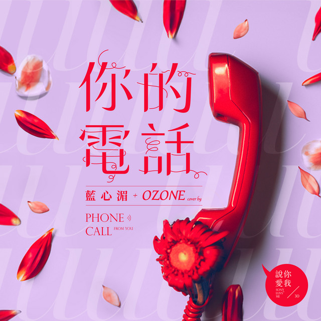 你的電話 (feat. 藍心湄) cover art