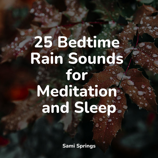 25 Bedtime Rain Sounds for Meditation and Sleep - Album by Música para ...