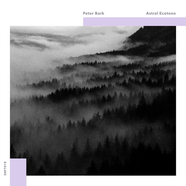 Astral Ecotone cover art