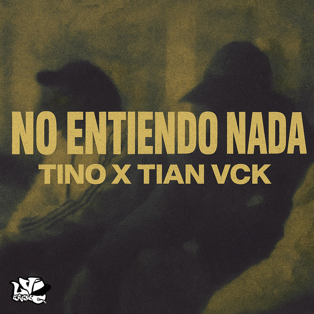 NO ENTIENDO NADA