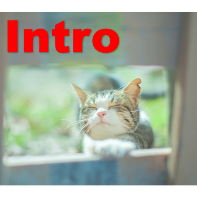 Intro cover art
