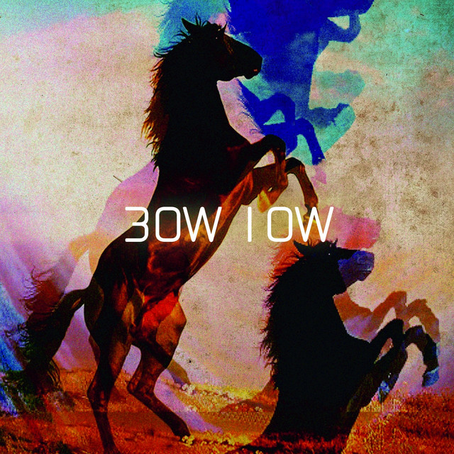 30W 10W cover art