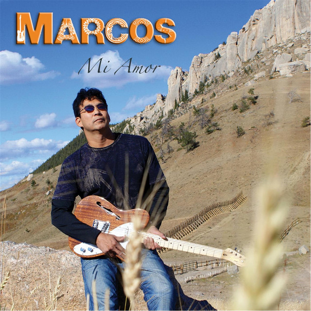 Mi Amor cover art