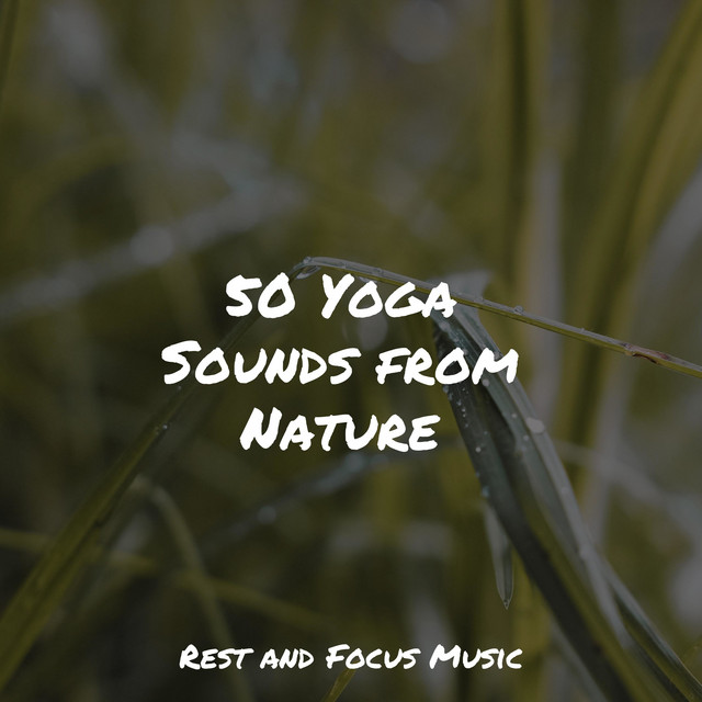 50 Yoga Sounds from Nature - Album by Tinnitus Aid | Spotify