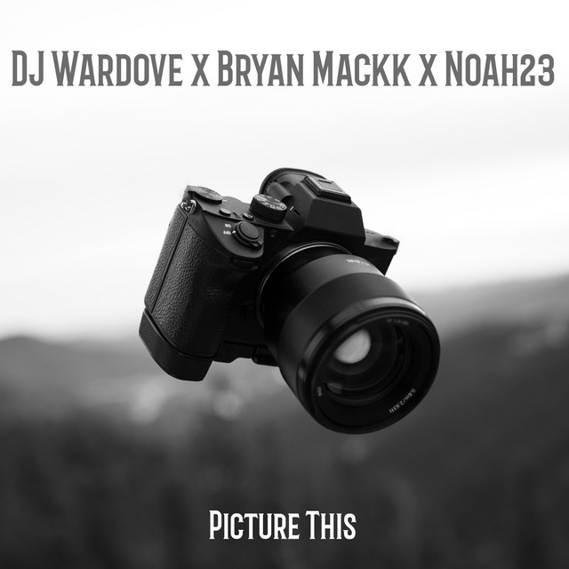 Picture This cover