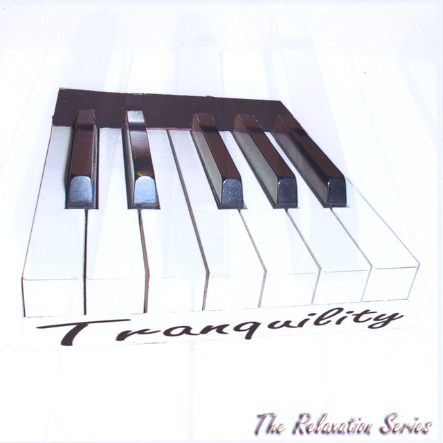 Beautiful New Age Piano Music: The Relaxation Series cover art