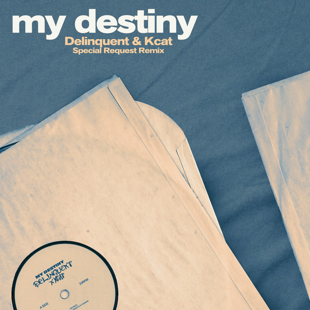 My Destiny (Special Request Remix) artwork