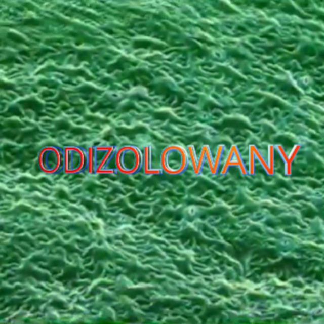 Herbiarz – Odizolowany